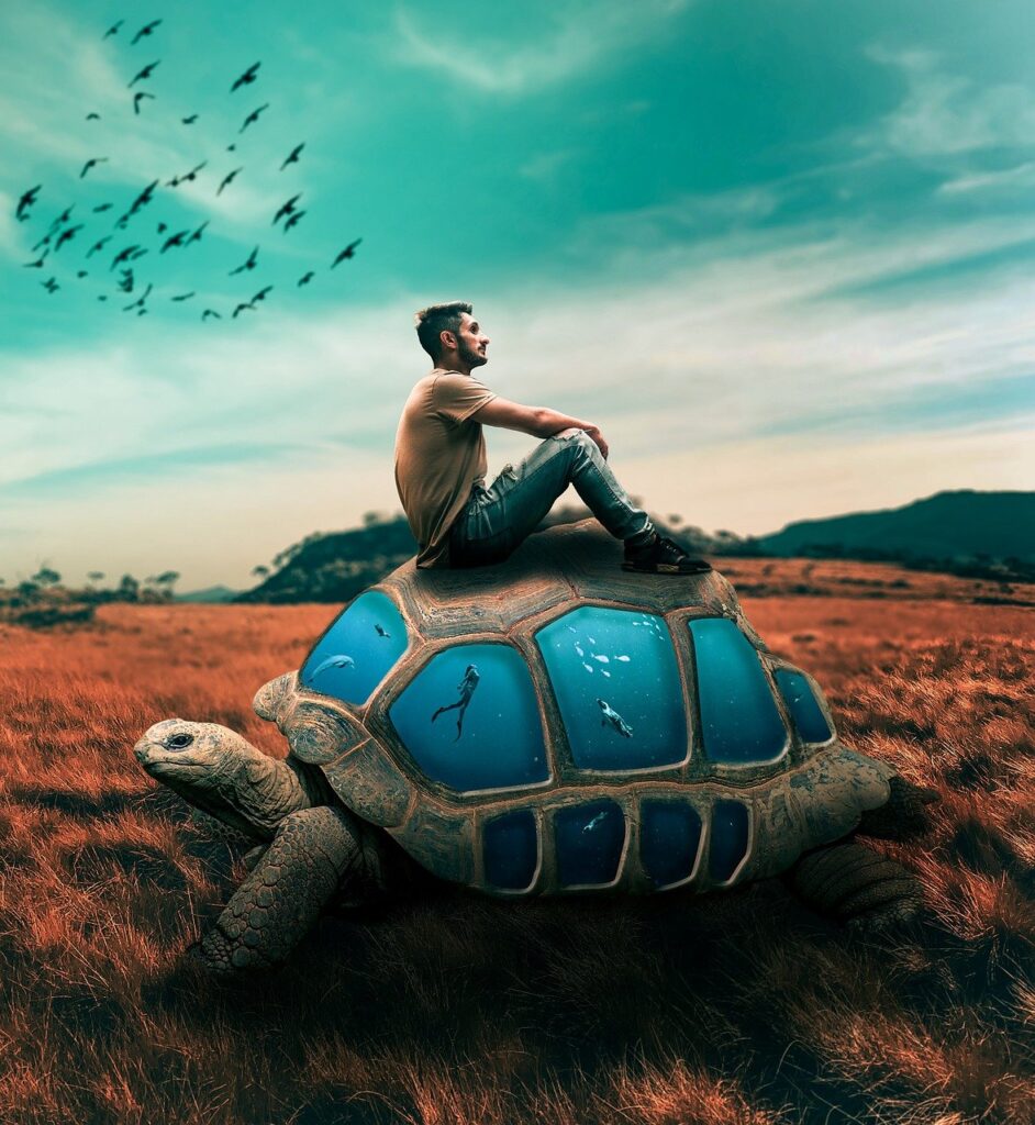 Turtle Man Sit Sitting Fantasy  - AlinConstantinescu / Pixabay