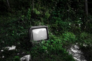 Tv Forest Plants Old Vintage  - onderortel / Pixabay