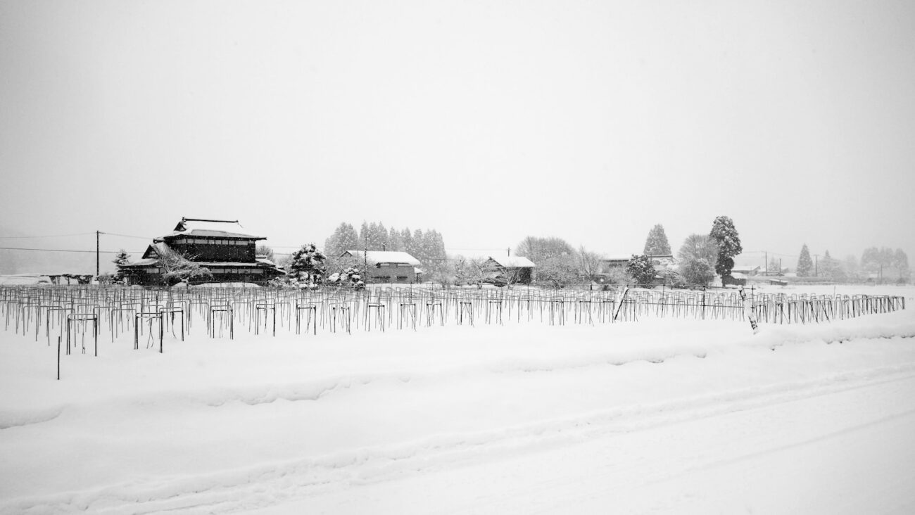 snow covered field during daytime