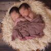 twins babies newborn boys 1628843