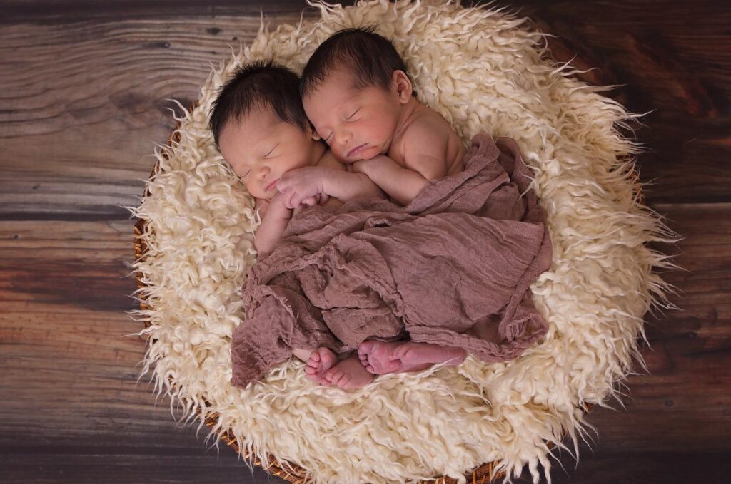 twins babies newborn boys 1628843