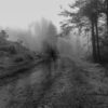 grayscale photo of person walking on pathway between trees