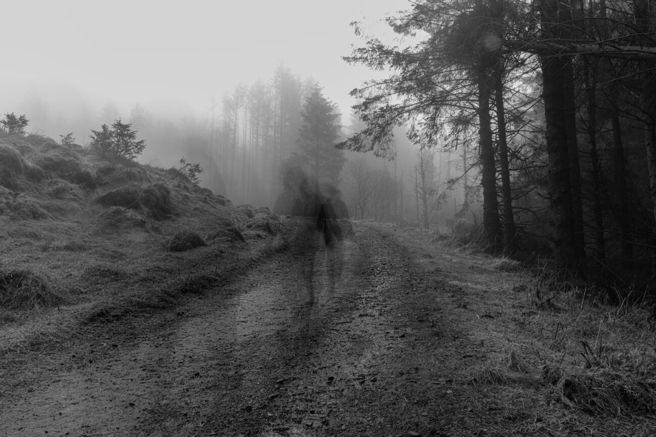 grayscale photo of person walking on pathway between trees