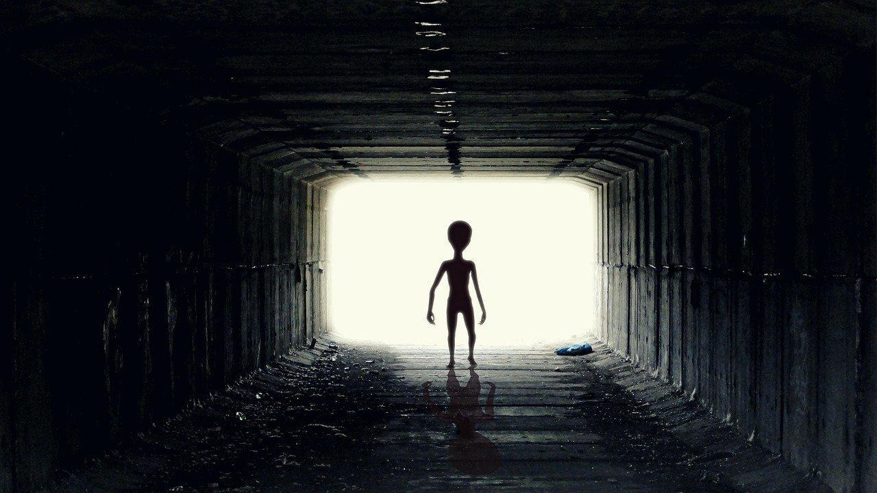 Ufo Alien Guy Pozaziemianin  - Pawel86 / Pixabay