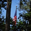 United States Flag Trees Landscape  - Themilmarzone / Pixabay