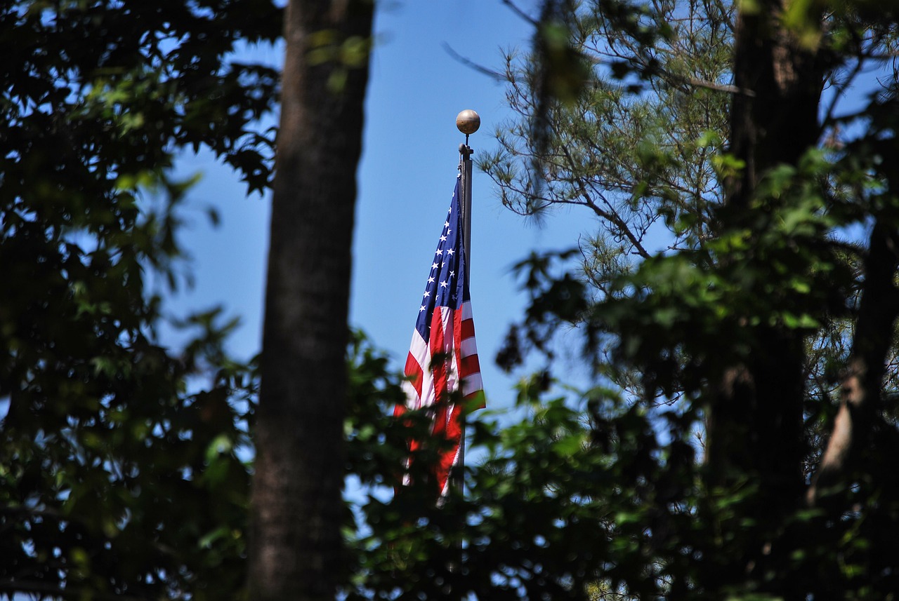 United States Flag Trees Landscape  - Themilmarzone / Pixabay