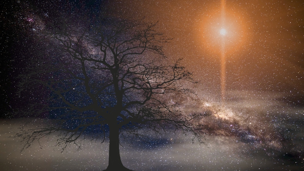 Universe Sun Tree Silhouette  - JuliusH / Pixabay