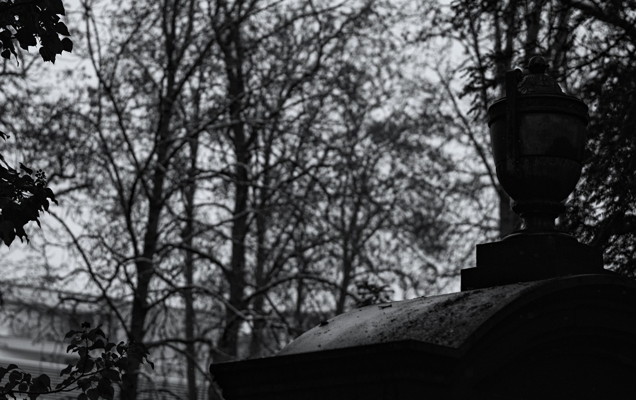 Urn Tombstone Trees Cemetery  - Portraitor / Pixabay