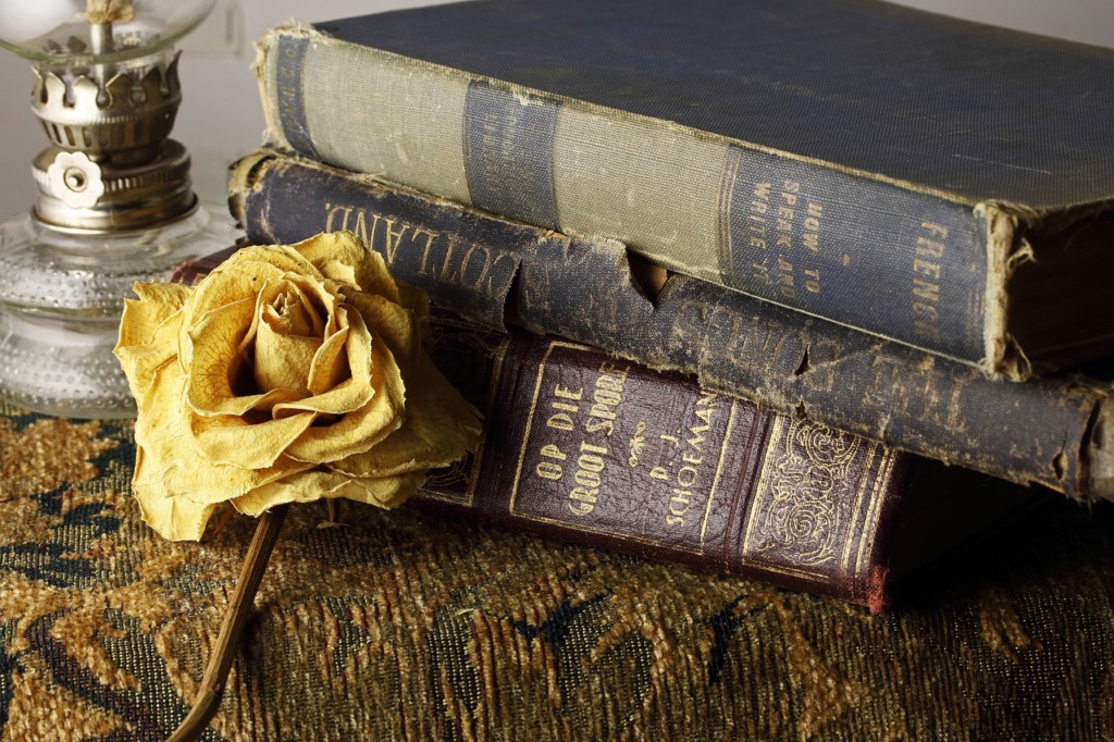 Vintage Books Old Books  - Bluesnap / Pixabay