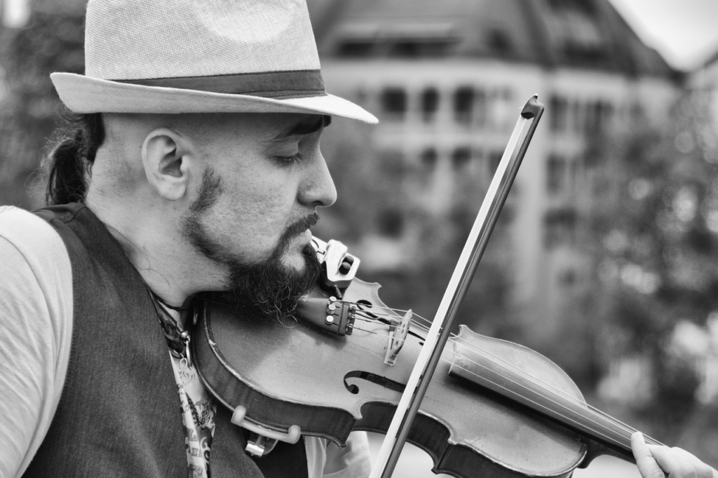 Violinist Street Performer Man  - Ernestovdp / Pixabay