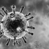 Virus Infection Coronavirus  - Paul_Mc / Pixabay