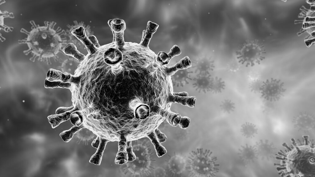 Virus Infection Coronavirus  - Paul_Mc / Pixabay