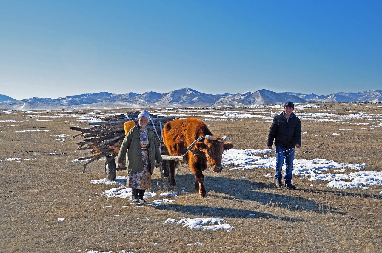Wagon Wood Supply Nomads Mongolia - francescobovolin / Pixabay