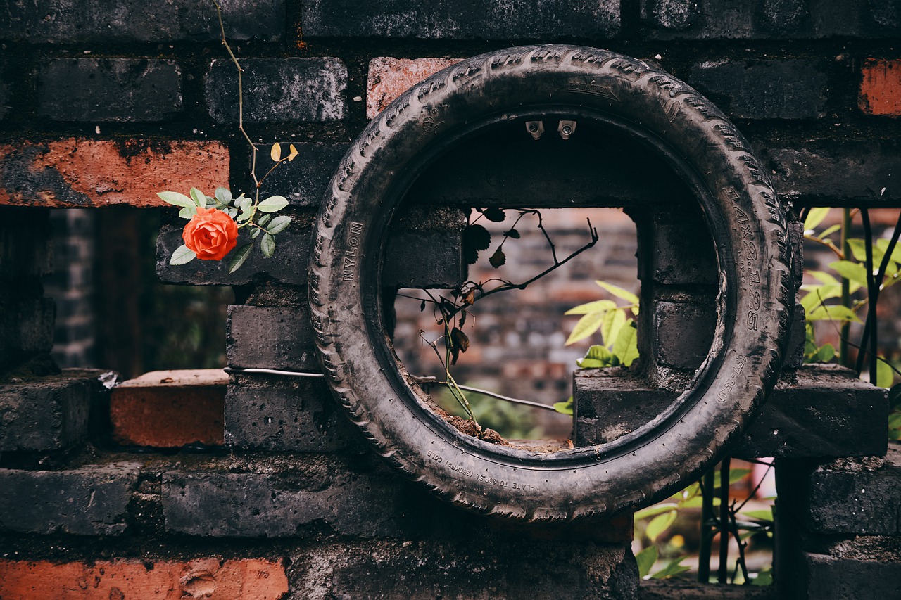 Wall Tire Red Rose Wall Art Deco  - mathgun / Pixabay