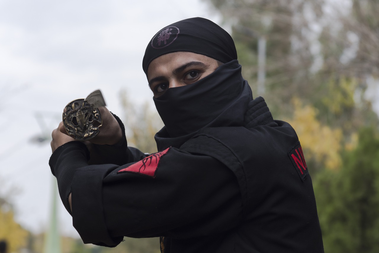 Wallpaper Man Portrait Ninja  - Javad_esmaeili / Pixabay