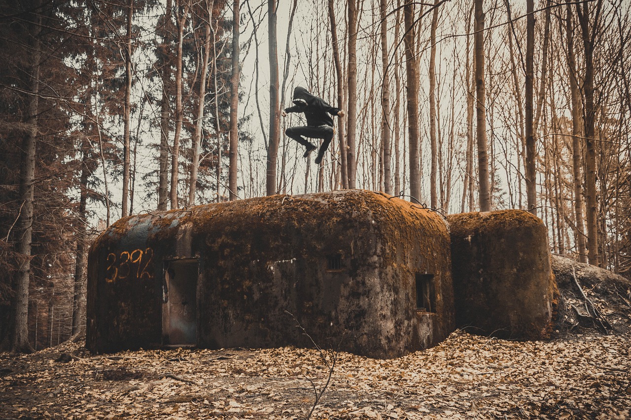 War Bunker The Fortifications  - vojta_kucer / Pixabay