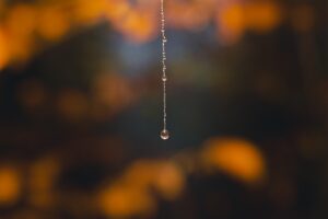 Water Drip Drop Water Droplets  - ErvinGjata / Pixabay