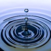 Water Drop Liquid Splash Wet  - qimono / Pixabay