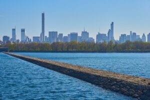 Water Trees Skyline City Central  - BeansandSausages / Pixabay