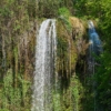 Waterfall Water Nature Forest  - Engin_Akyurt / Pixabay