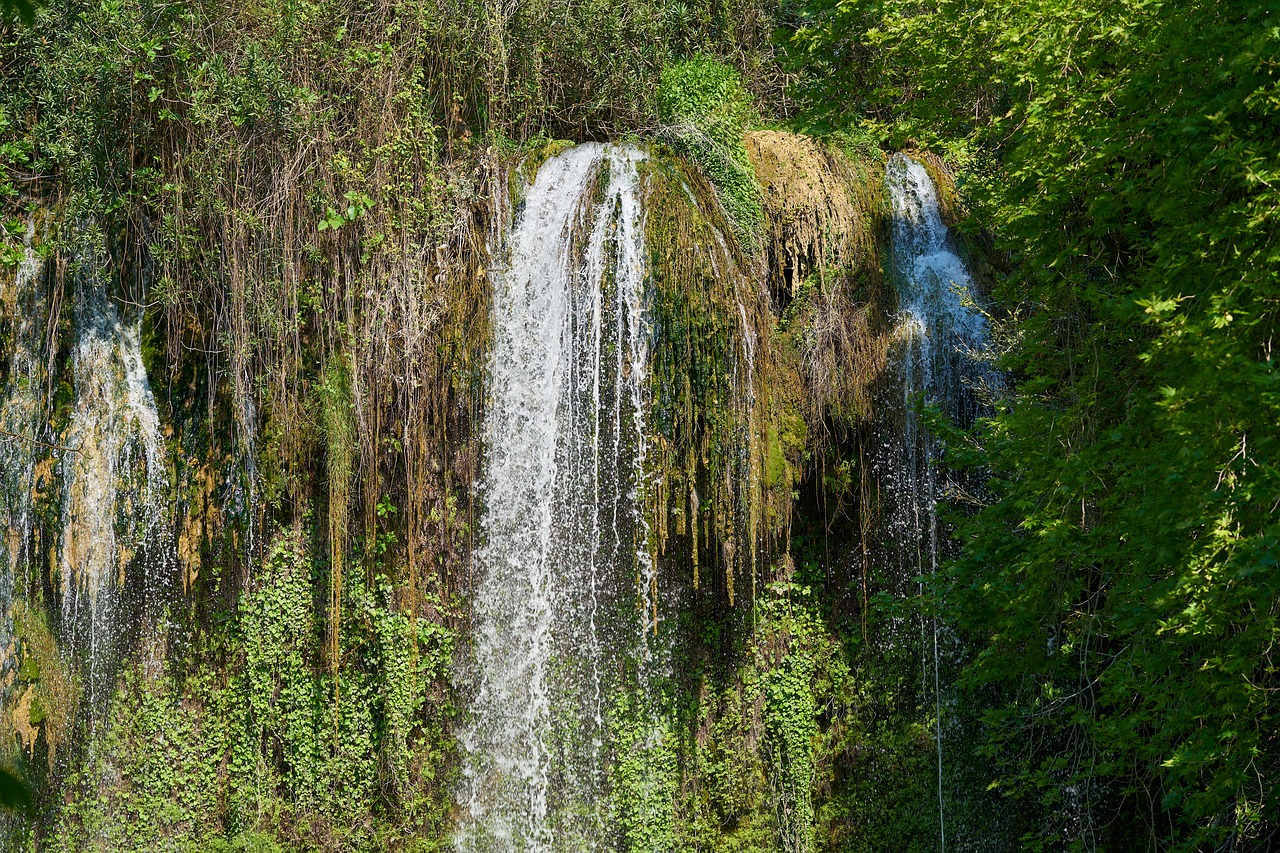 Waterfall Water Nature Forest  - Engin_Akyurt / Pixabay