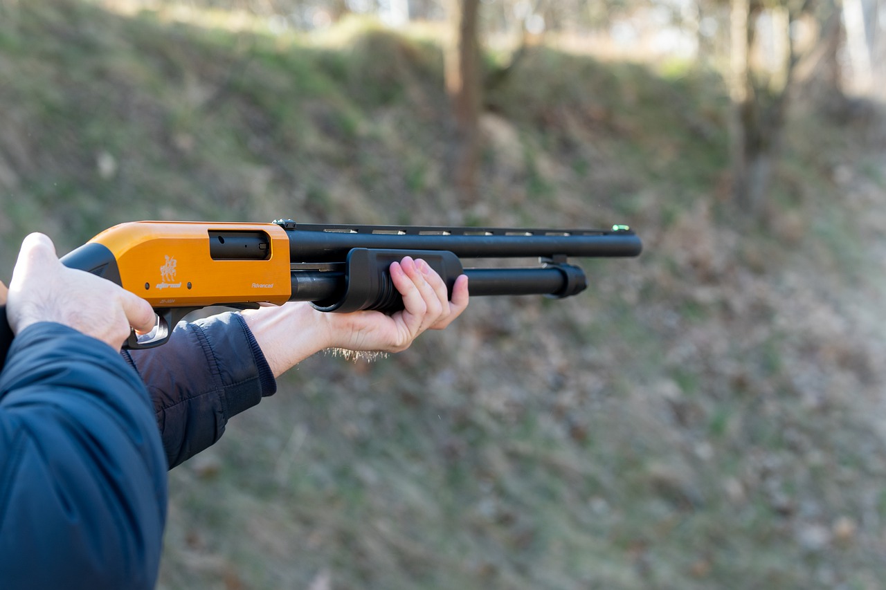 Weapon Gun Shooting Firing Range  - PiotrZakrzewski / Pixabay