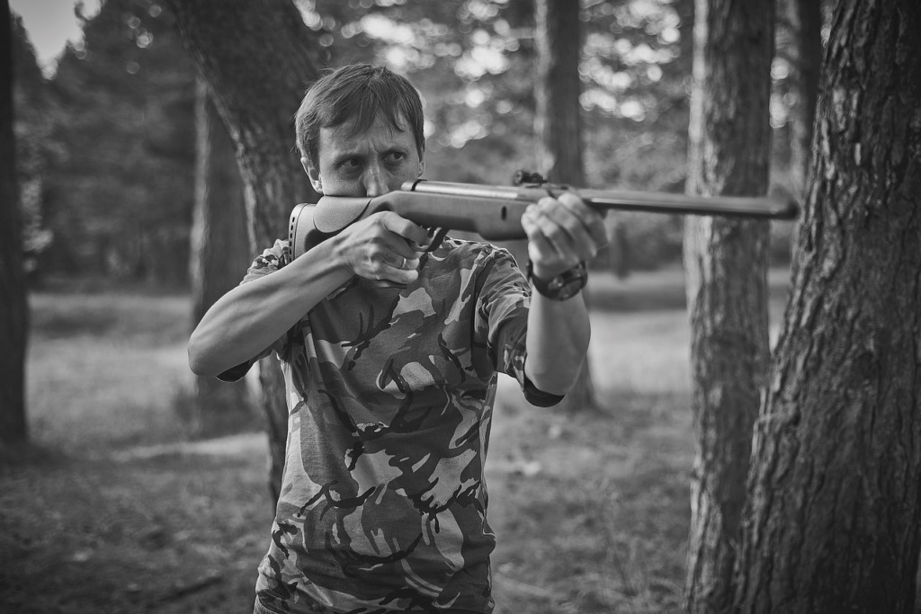Weapon Hand Gun Rifle Man  - psbitnev / Pixabay