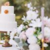 Wedding Cake Cake Party Pastry  - lilyandmoon / Pixabay
