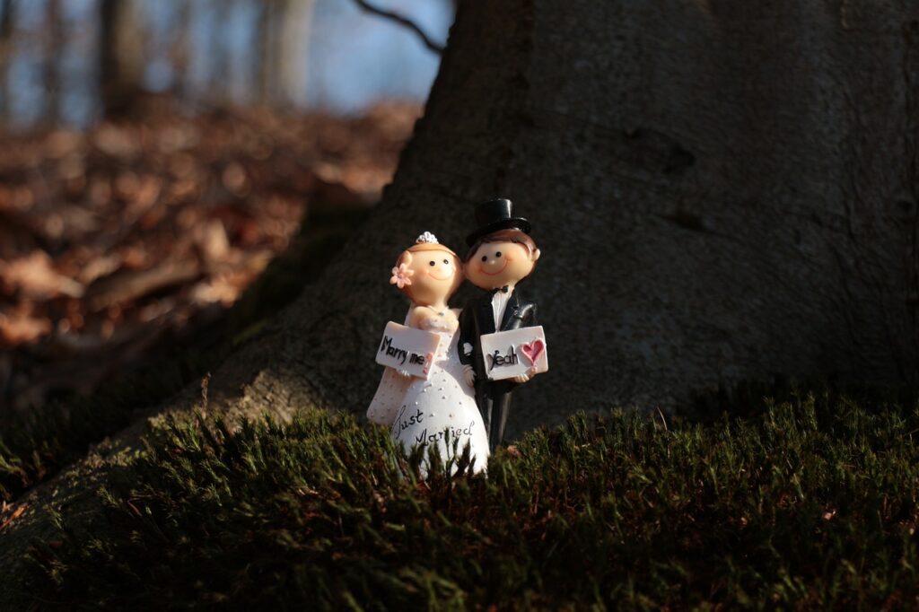Wedding Couple Toys Miniature  - mlessy / Pixabay