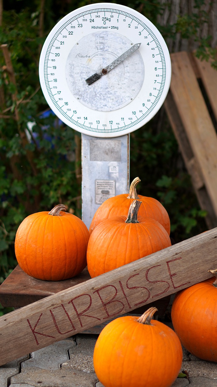 Weighing Scale Pumpkins Vegetables  - matthiasboeckel / Pixabay