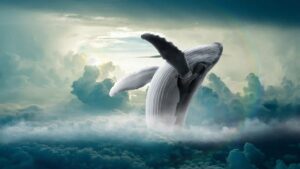 Whale Clouds Fantasy Humpback Whale  - BiancavanDijk / Pixabay