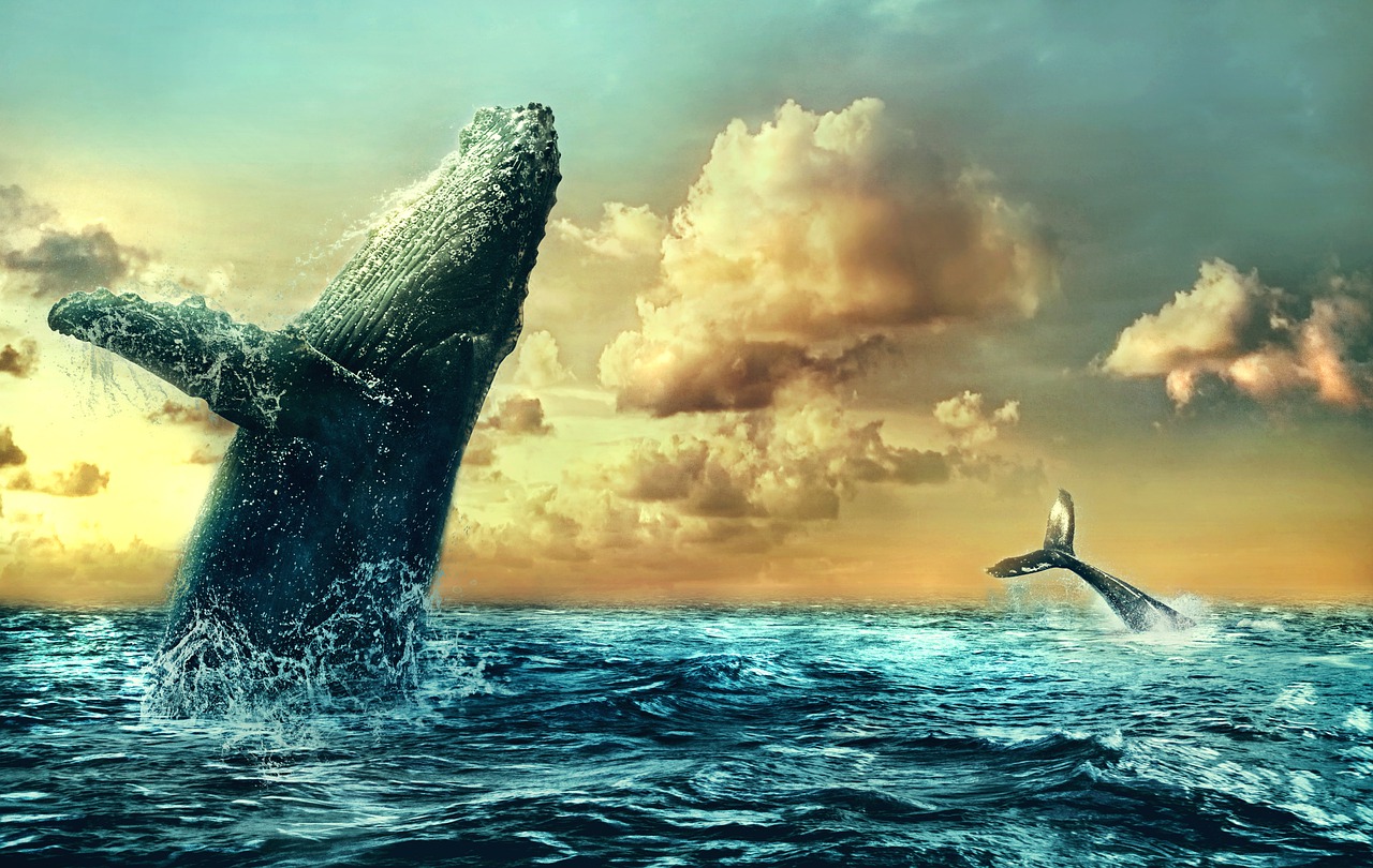 Whales Sea Ocean Clouds Sky Water - Darkmoon_Art / Pixabay