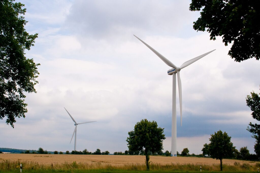 Windmills Field Grass Meadow  - heggiseck / Pixabay