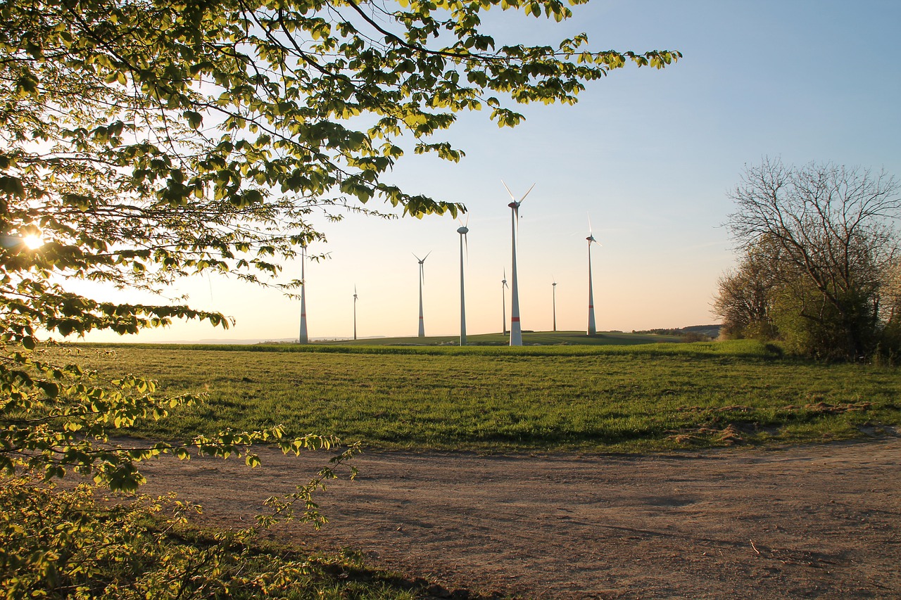 Windmills Trees Field Grass  - Joachimklug / Pixabay