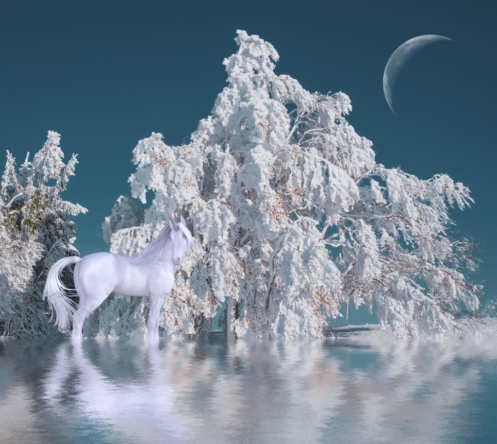 Winter Fantasy Ice Reflection Cold  - susan-lu4esm / Pixabay