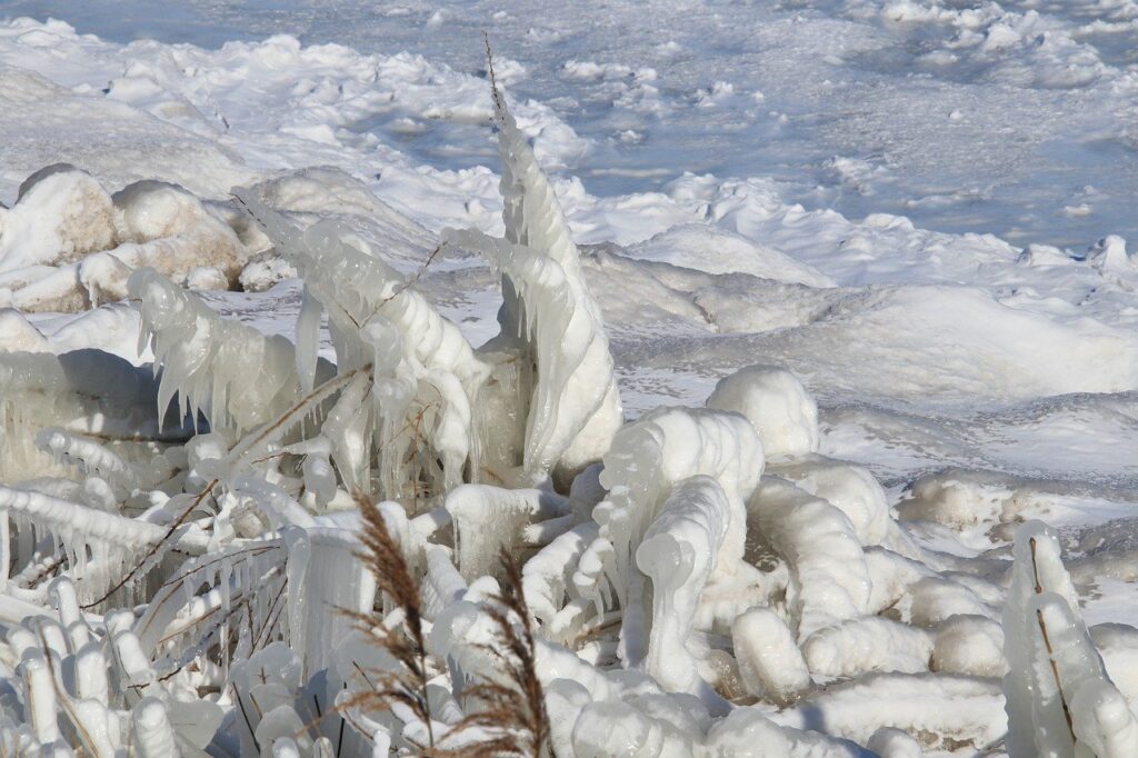 Winter Ice Frost Frozen Reed  - MarjonBesteman / Pixabay