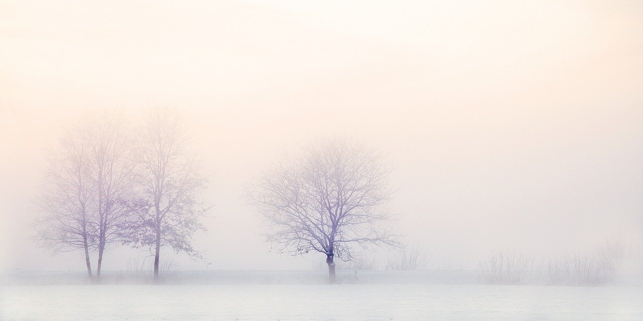 winter landscape trees snow nature 2571788