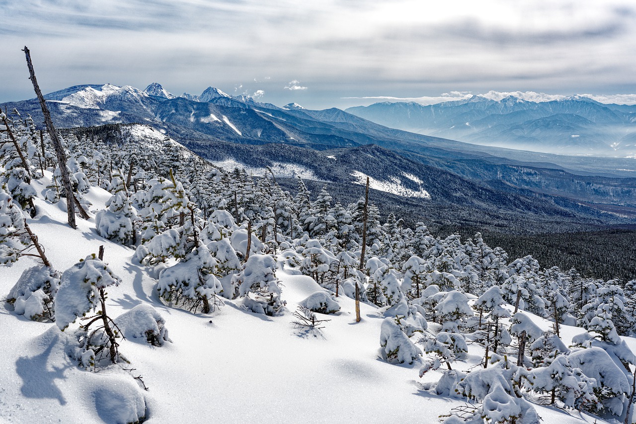 Winter Nature Season Snow  - Kanenori / Pixabay