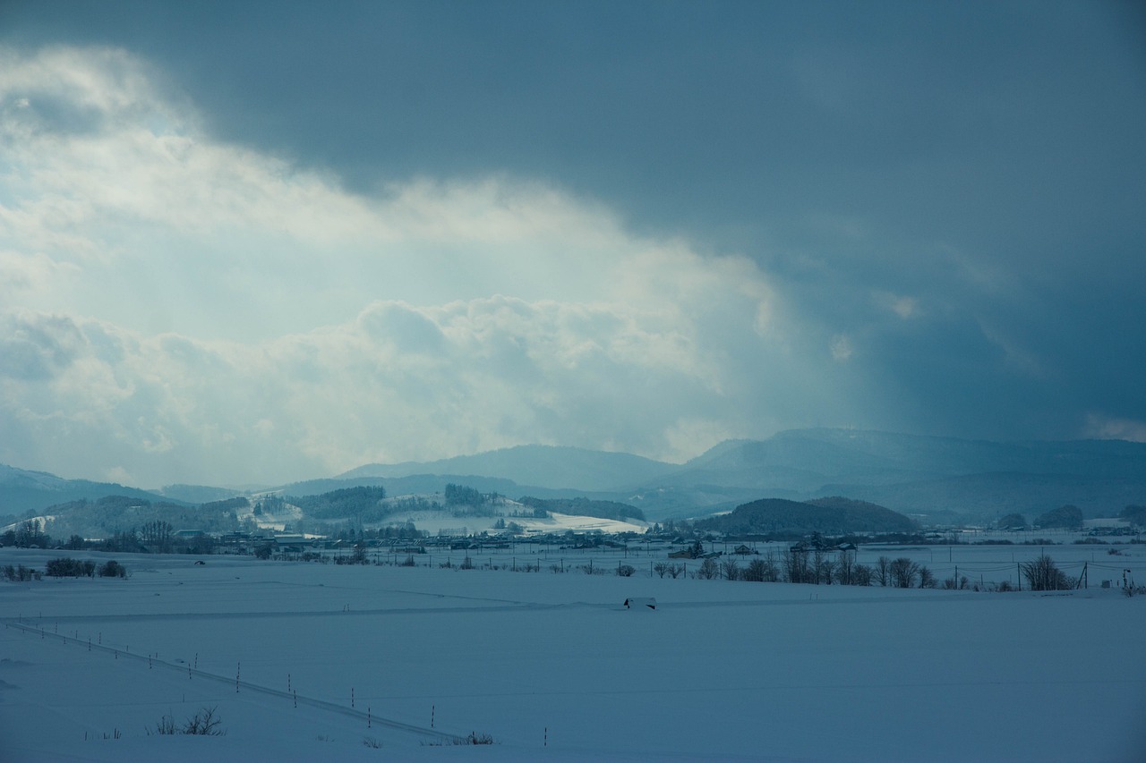 Winter Snow Scene Natural Hokkaido  - neotenibok / Pixabay