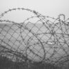 Wire Barbed Wire Fence Forbidden  - dimitrisvetsikas1969 / Pixabay