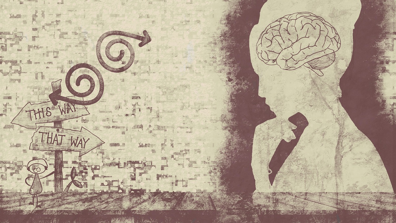 Woman Brain Decision Pondering - chenspec / Pixabay