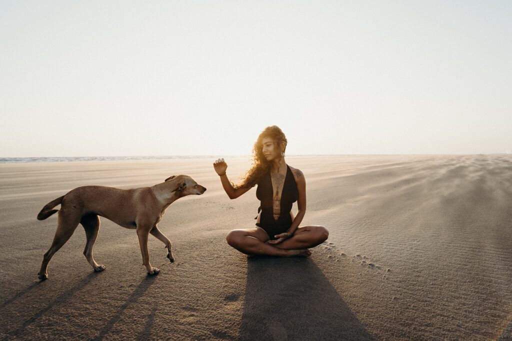 Woman Dog Meditation Sand Sunlight  - YouAreLimitiless / Pixabay