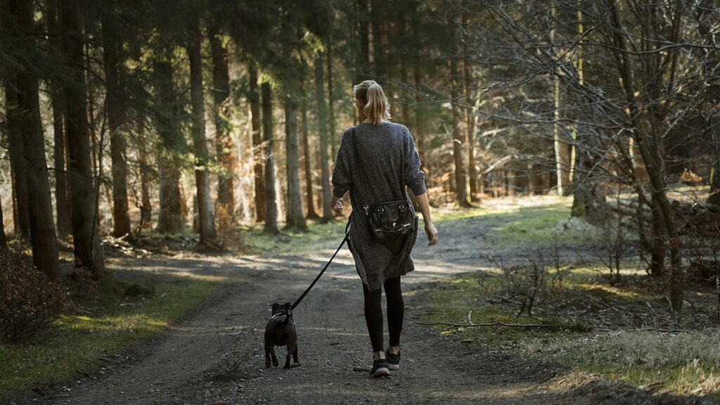 Woman Dog Walk Trail Path Forest  - MartinDalsgaardSørensen / Pixabay