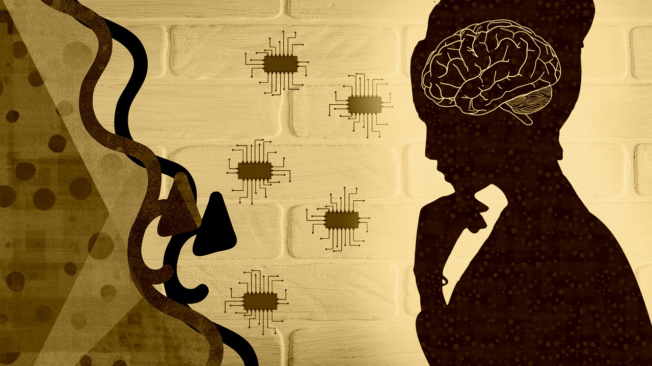 Woman Female Brain Code Coding  - chenspec / Pixabay