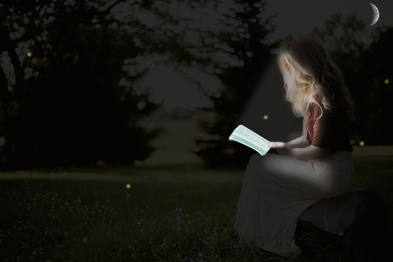 Woman Firefly Blonde Reading Night  - Decster1 / Pixabay