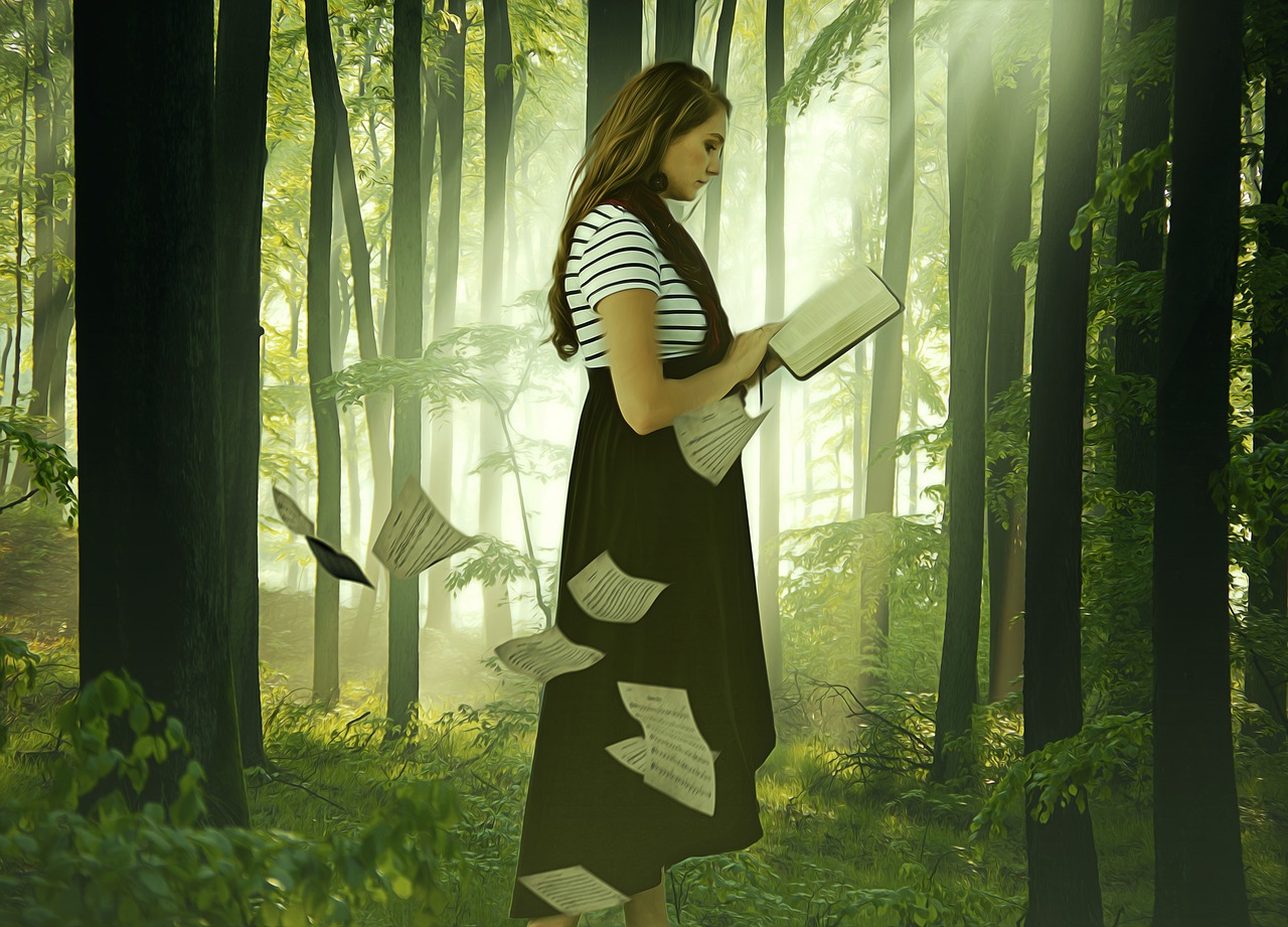 Woman Girl Lady Reading Book Wood  - darksouls1 / Pixabay