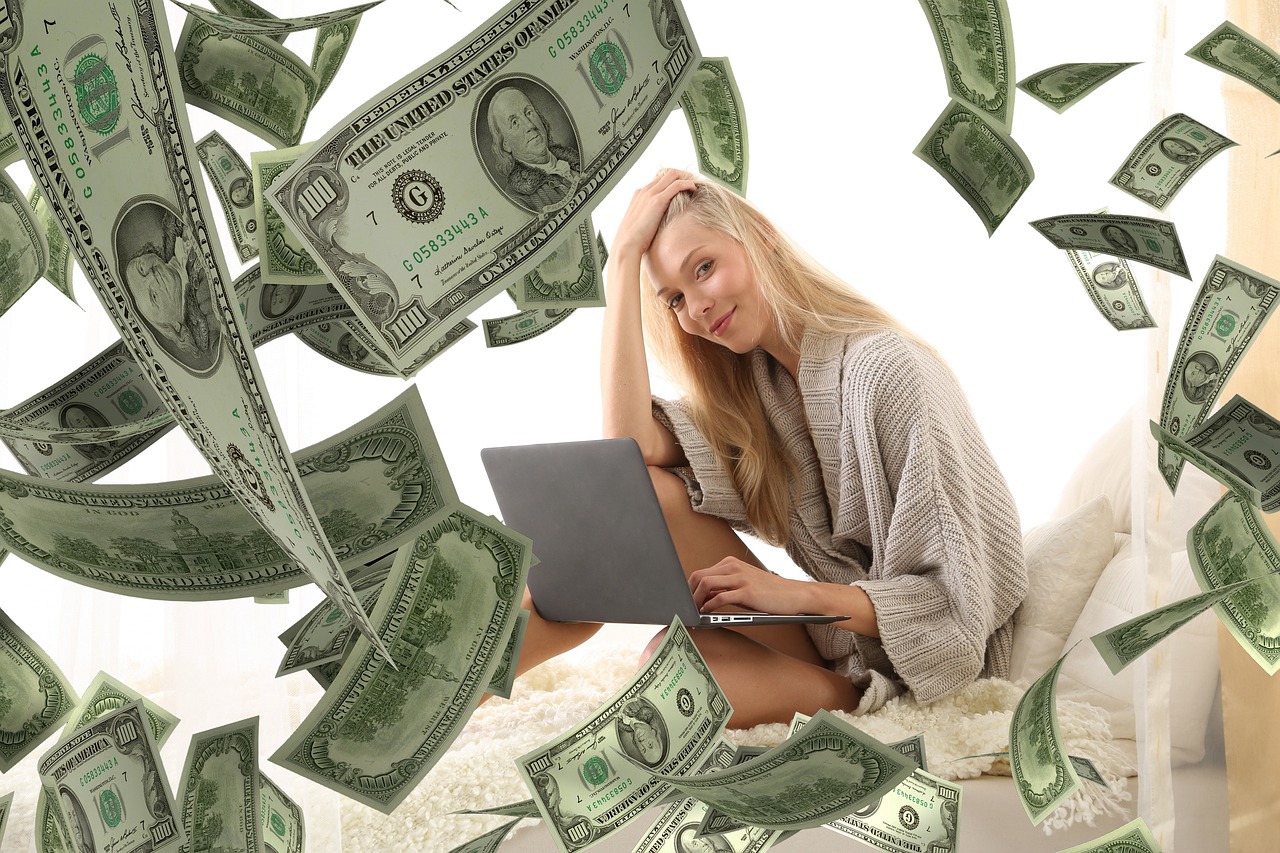 Woman Laptop Money Income Dollars - Tumisu / Pixabay