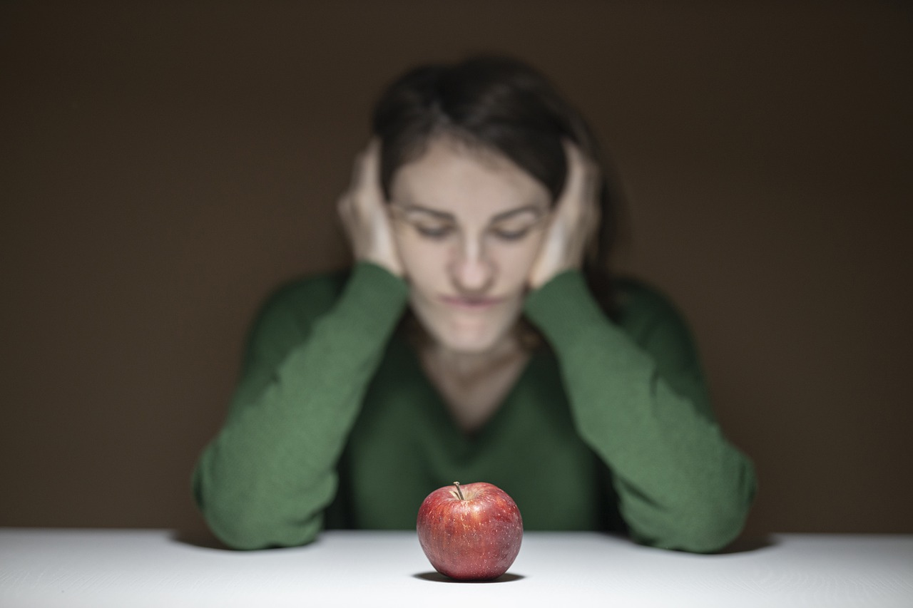 Woman Model Girl Portrait  - Engin_Akyurt / Pixabay