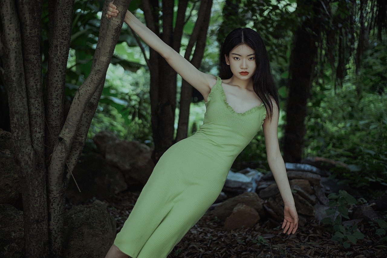 Woman Model Portrait Asian  - tashidogs / Pixabay