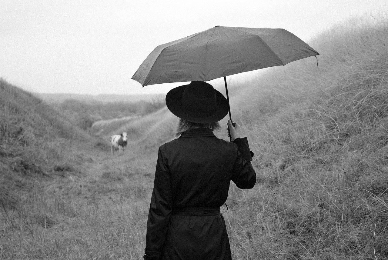 Woman Mysterious Traveler Only - Victoria_Borodinova / Pixabay